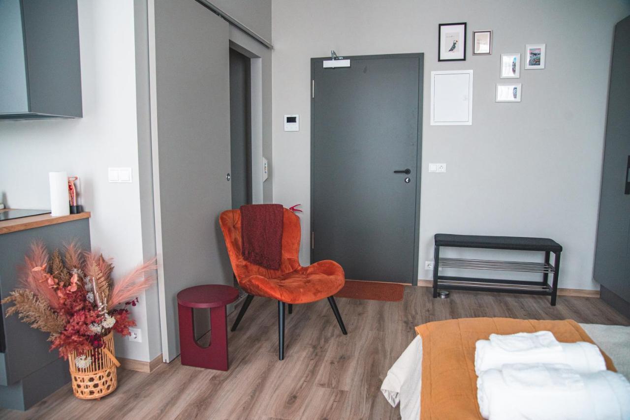 דירות רייקיאוויק Cozy Studio By The City Centre מראה חיצוני תמונה
