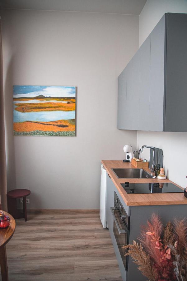 דירות רייקיאוויק Cozy Studio By The City Centre מראה חיצוני תמונה