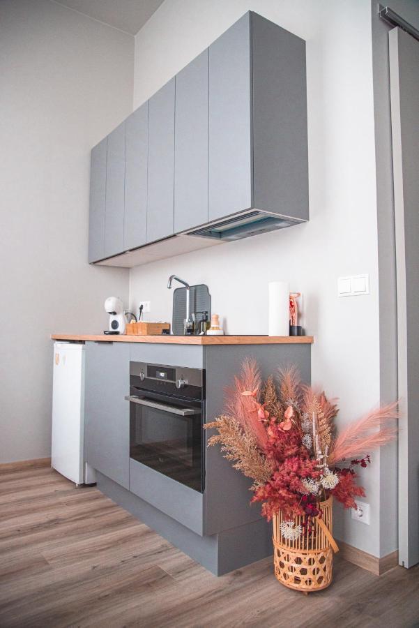 דירות רייקיאוויק Cozy Studio By The City Centre מראה חיצוני תמונה