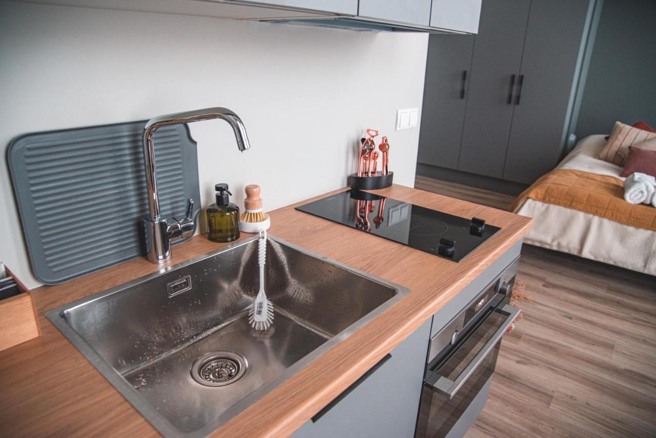 דירות רייקיאוויק Cozy Studio By The City Centre מראה חיצוני תמונה